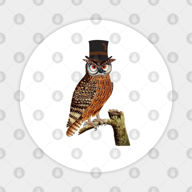 Owl wearing top hat Magnet by DesignIndex